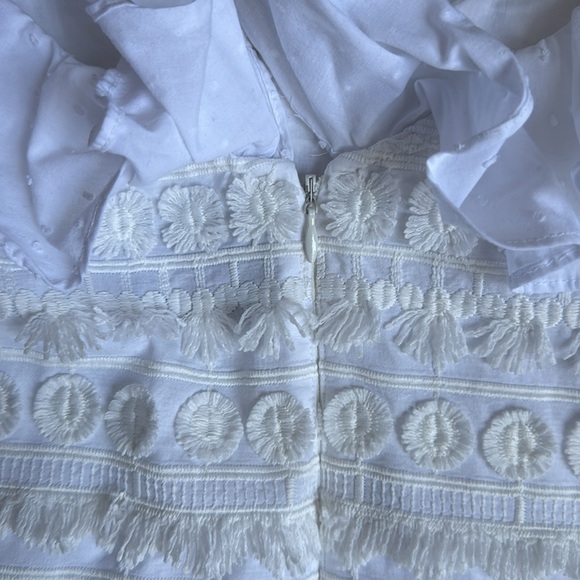 Alexis Calypso Ruffle Mini Dress - Picture 14 of 14